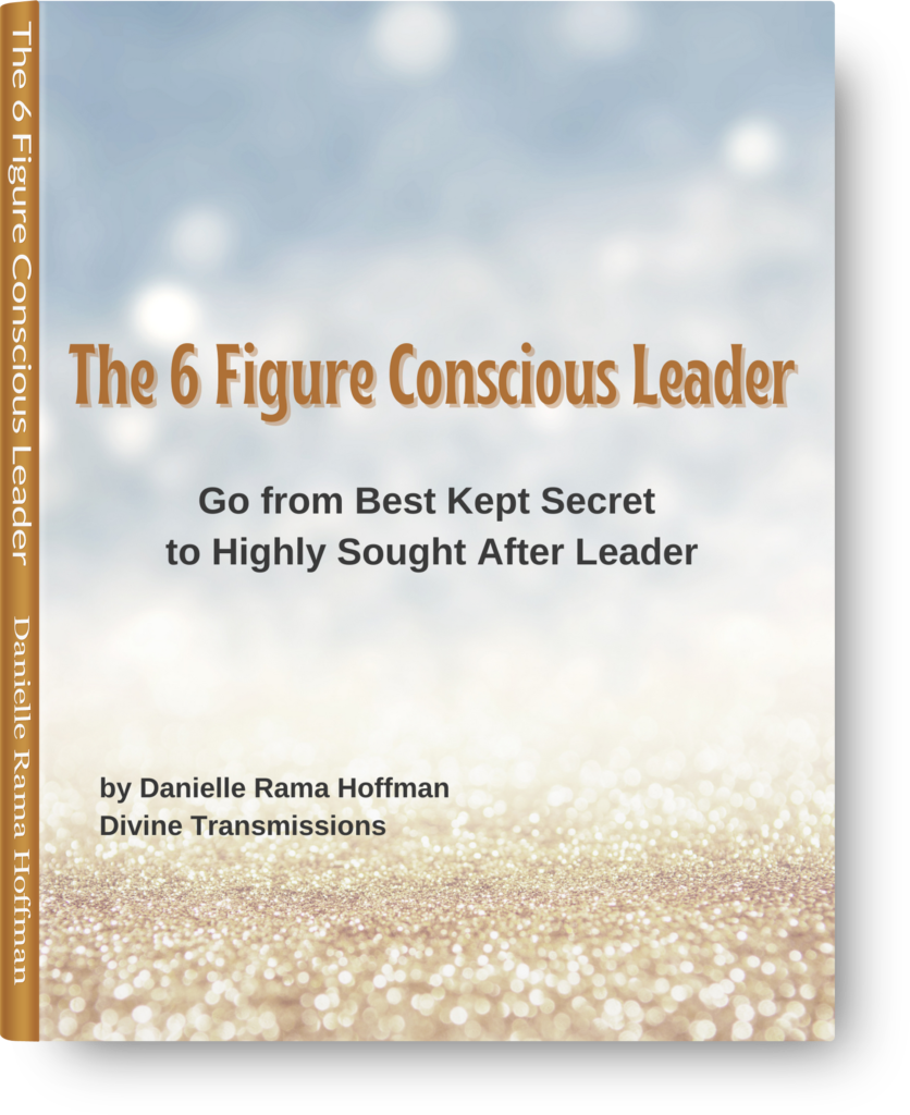6 Figure Conscious Leader Ebook